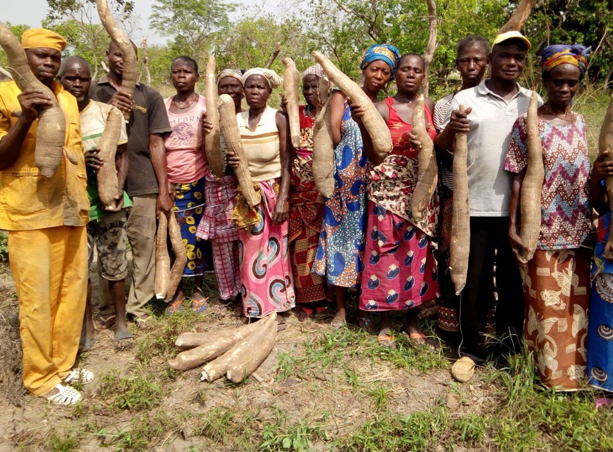Producteurs locaux en Côte d’Ivoire